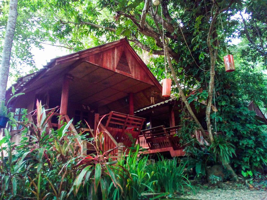 Misty View Guesthouse Pai Buitenkant foto