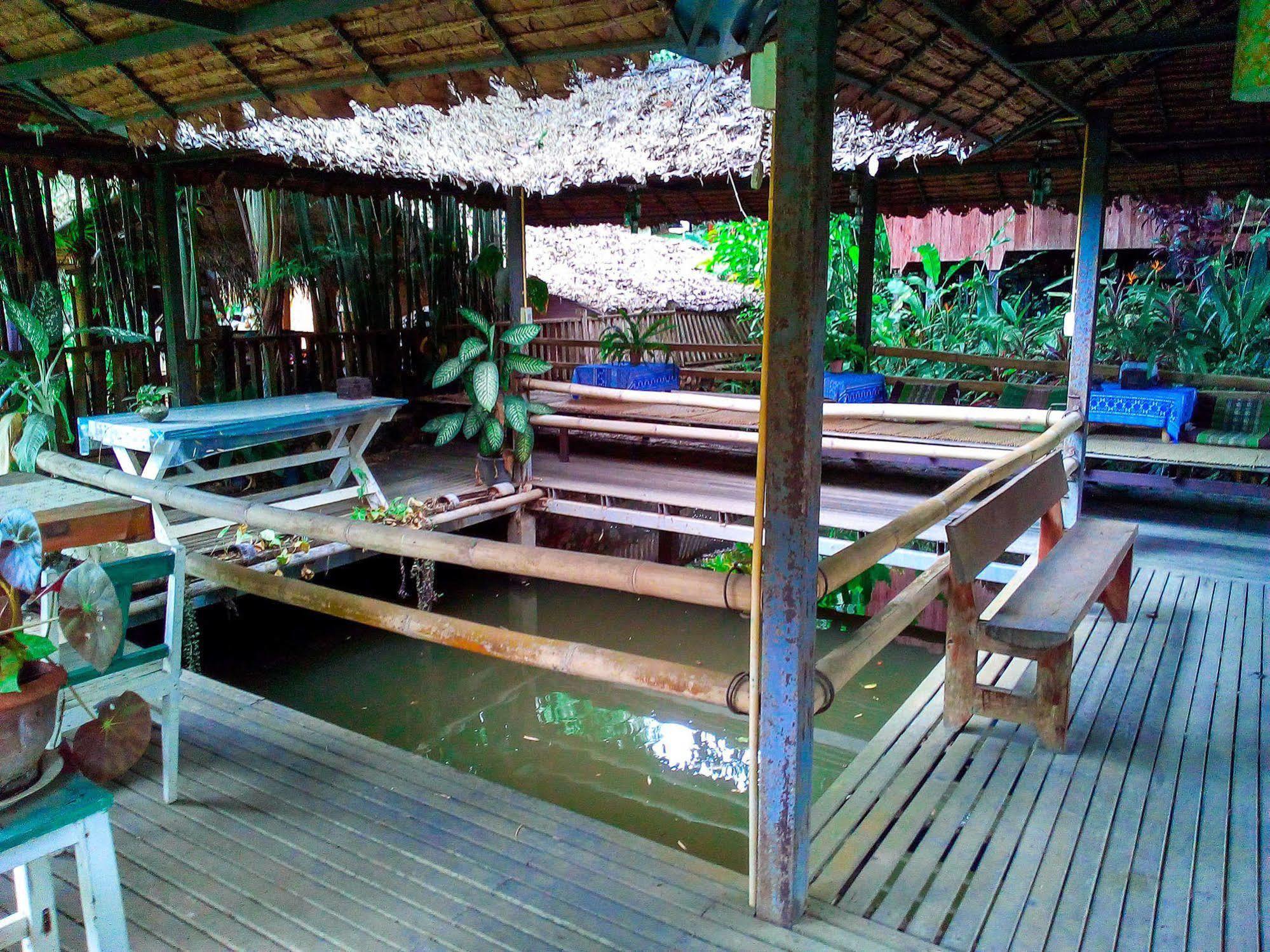 Misty View Guesthouse Pai Buitenkant foto