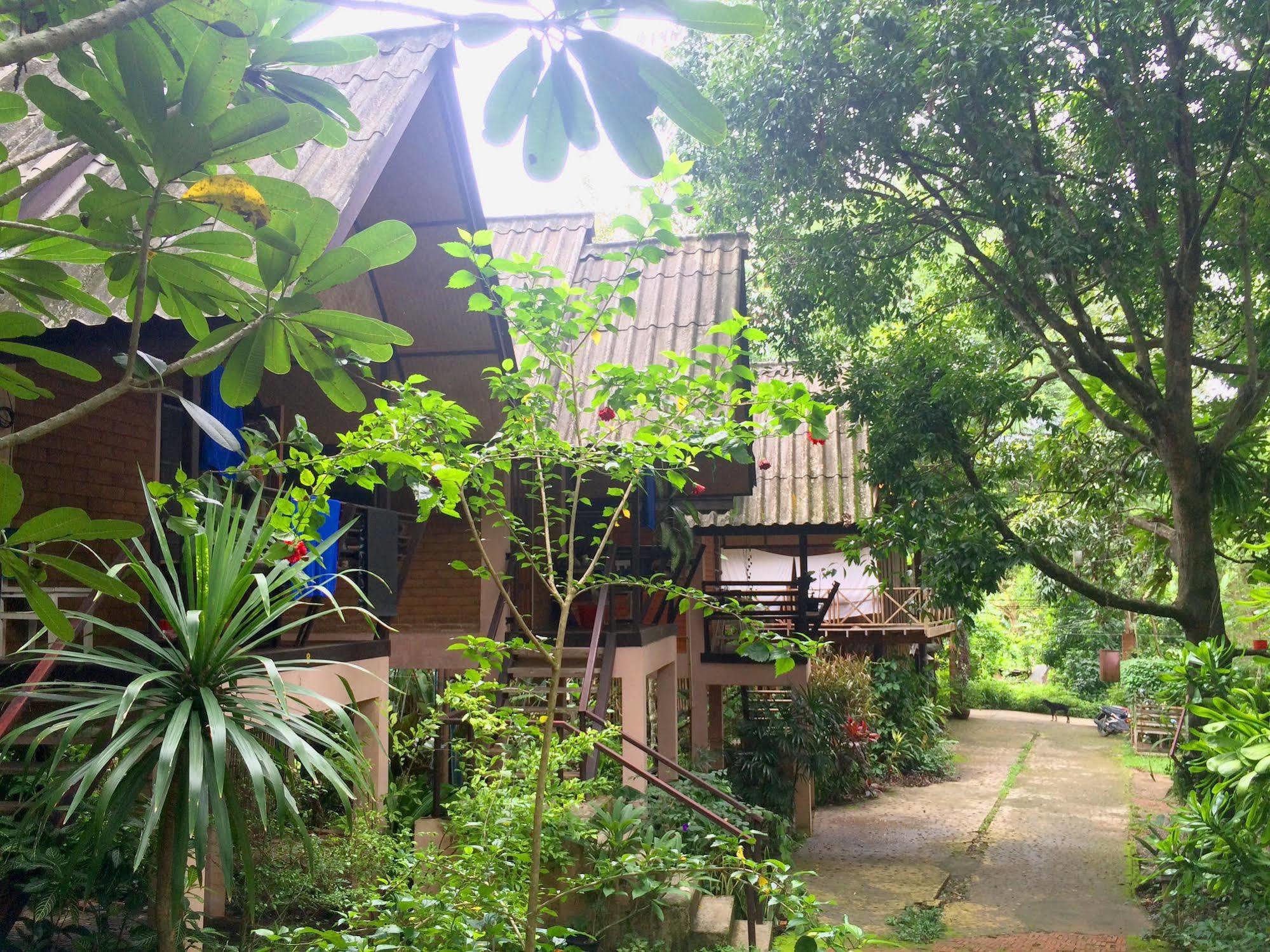 Misty View Guesthouse Pai Buitenkant foto