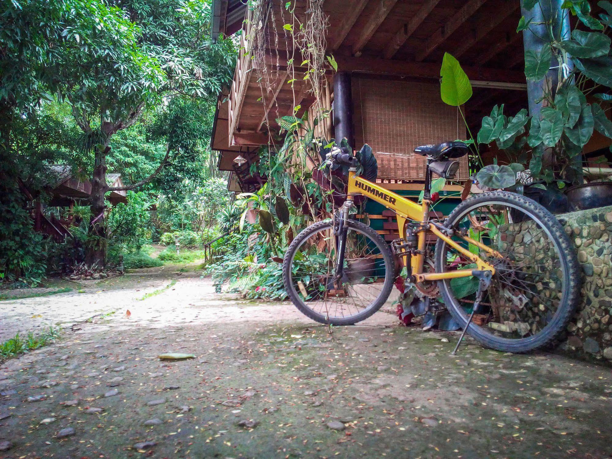 Misty View Guesthouse Pai Buitenkant foto